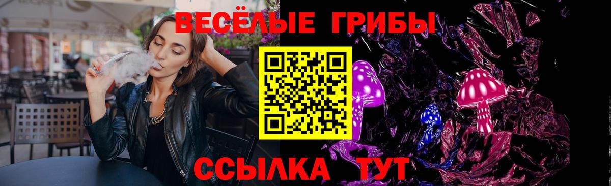 Псилоцибиновые грибы Cubensis Ревда